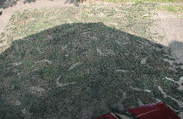 Tarnnetz 10,2 X 10,2 ausgebreitet